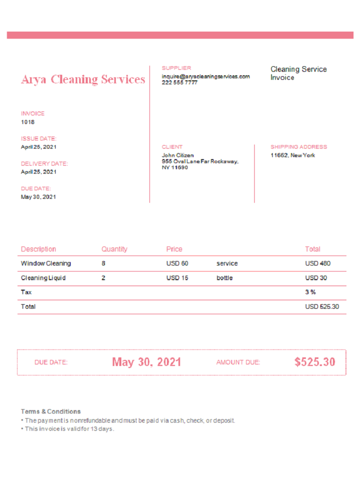 USA Arya Cleaning Services invoice PSD template